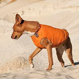 Жилет Pet Fashion E.Vest для собак, розмір M2, помаранчевий - мініатюра 3