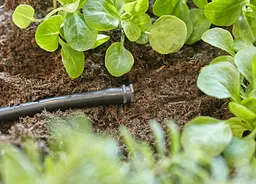 Заглушка Gardena Micro-Drip-System для шлангів 4,6 мм 3/16", 10 шт (13215-20) - мініатюра 3