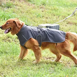 Світловідбивне тепле пальто для собак Derby DJ64 Grey XL - мініатюра 3