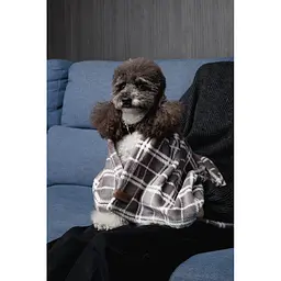 Плед Pet Fashion Bliss 2 для собак і котів плюш сірий картатий 70,5х94 см - мініатюра 9