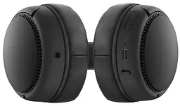 Гарнітура Panasonic RB-M300BGE-K (6609567) - мініатюра 2