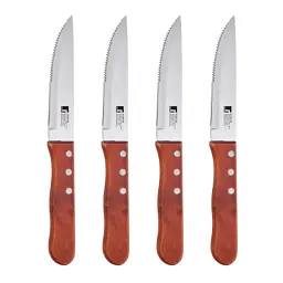 Набір ножів Bergner Bbq lovers для стейків, 4 предмети (BG-40201-MM)
