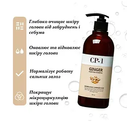 Шампунь для волосся з екстрактом імбиру Esthetic House CP-1 Ginger Purifying Shampoo - 500 мл - мініатюра 5