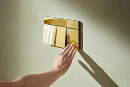 Кнопка змиву для інсталяції Hansgrohe iFrame Element E поліроване золото 66003990 - мініатюра 3