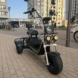 Триколісний сітікоко EVOBIKE Grizzly X3 Pro з вантажкою корзиною - мініатюра 2
