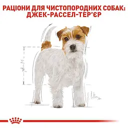 Сухий корм для дорослих собак породи Джек Рассел Тер'єр Royal Canin Jack Russell Adult, 3 кг (21000309) - мініатюра 2