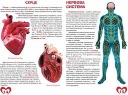 Велика книга Кристал Бук Анатомія людини (F00014783) - мініатюра 3