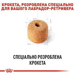 Сухий корм для дорослих собак породи Лабрадор Ретрівер Royal Canin Labrador Retriever Adult, 3 кг (2487030) - мініатюра 4