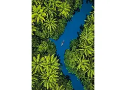 Пазл Clementoni High Quality Collection: Мальовнича річка в тропічних джунглях — вигляд з висоти (High Quality Collection - Tropical Aerial View Puzzle - 500 pcs.), 500 ел. (35592) - мініатюра 2
