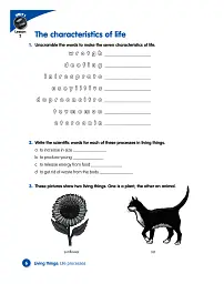 Macmillan Science. Level 4. Workbook - мініатюра 4