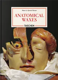 Anatomical Waxes. 45th Edition