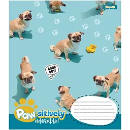 Зошит 1 вересня Pawsitively А5, 24 аркуша в лінію (768241)