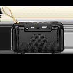 Портативна колонка XPRO BR17 5Вт USB AUX FM Bluetooth чорна (ЦУ-00033703) - мініатюра 3