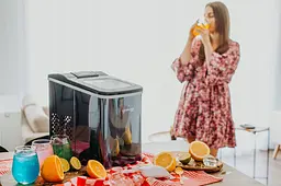 Льодогенератор Lehmann Syowa 12кг 2л - мініатюра 8