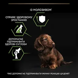 Сухий корм Purina Pro Plan Small & Mini Puppy <1 Healthy Start для цуценят дрібних порід з куркою 3 кг (12272132) - мініатюра 7