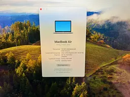 Ноутбук Apple MacBook Air 13" i5-8210Y/16/256 (FVFZL25PLYWP) Б/в - мініатюра 9