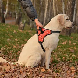 Шлея для собак BronzeDog Urban Comfort інки S 32-38 см / 40-52 см 81/1336/T - мініатюра 3