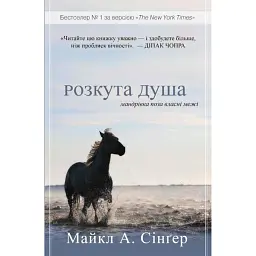 Розкута душа. Мандрівка поза власні межі - Майкл А. Сінгер