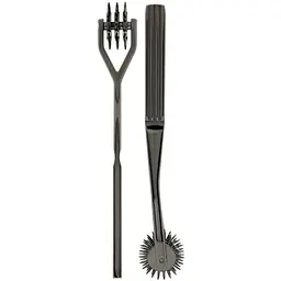 Колесо Вартенберга гольчасте на 3 ряди зубців Doc Johnson Kink- Spike - Solid Metal Pinwheel - 3 Whe