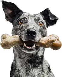 Жувальна кістка для собак Pet Qwerks Zombie BAMBOO BarkBone зі смаком арахісового масла - мініатюра 6