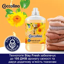 Кондиціонер для білизни Coccolino Fresh & Soft Грейпфрут абрикос та малина 1.7 л (64881103) - мініатюра 5