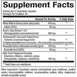Куркумін Natural Factors CurcuminRich Joint Curcumizer  60 капсул - мініатюра 2