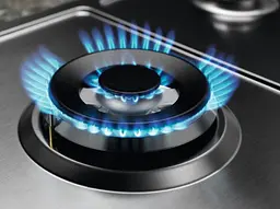Варильна поверхня газова Electrolux 75 см чавун нержавіюча сталь - мініатюра 5
