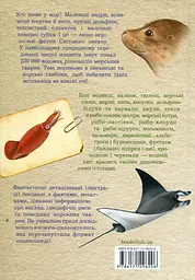 Морські тварини світу. Нотатки, малюнки та спостереження про тварин, що живуть в океані - мініатюра 2