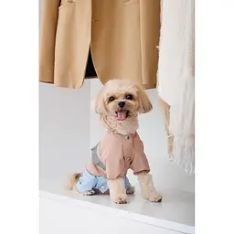 Дощовик Pet Fashion Tina для дівчаток розмір XS2 бежевий/блакитний - мініатюра 5