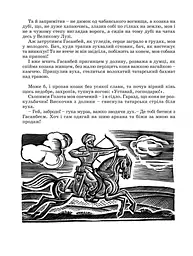Козак Голота - Марія Пригара (978-966-01-0380-1) - мініатюра 9