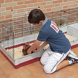 Клітка Ferplast Krolik 160 для кроликів - мініатюра 13