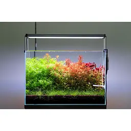 Грунт для акваріума Aquario Neo Soil Plant 3 л (neo-soil-plant-3) - мініатюра 5