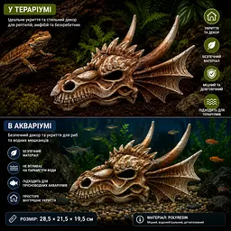 Декорація череп дракона Hobby Dragon Skull L 28,5×21,5×19,5 см для акваріума і тераріума (32076) - мініатюра 6