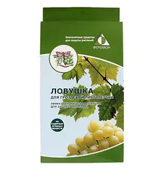 Феромонна пастка для гронової листокрутки на винограді