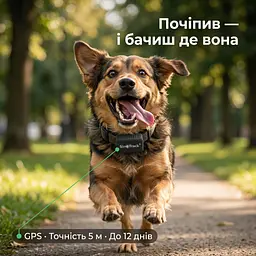 SinoTrack ST-903 - мініатюра 7