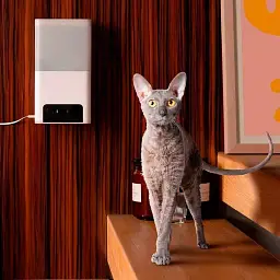 Інтерактивна камера відеоспостереження з диспенсером для корму Petcube Bites 2 Lite (BL10US) [87148] - мініатюра 5