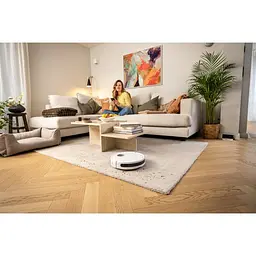 Робот-пилосос Karcher RCV 2 (1.269-670.0) [120654] - мініатюра 12