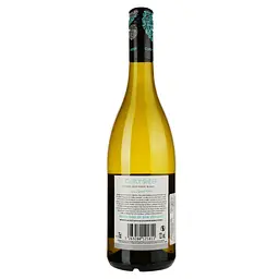 Вино Curly Sheep Sauvignon Blanc, біле, сухе, 0,75 л - мініатюра 2