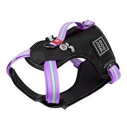 Шлея для собак безпечна Waudog Nylon з QR паспортом, металева пряжка-фастекс, L, Ш 25 мм, А 60-95 см, В 80-100 см