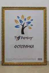 Фоторамка 40х50, золота із золотим обрамленням, 2115В-47, СКЛО + ДВП                                                                                                                                                                                                                                                                                                                                                                                                                                            