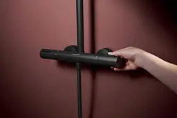Душова система з термостатом Hansgrohe Raindance Alive S Puro 300 1jet EcoSmart Ecostat Element matt black 24593670 - мініатюра 4