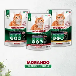 Вологий корм для стерилізованих котів Morando Tradizioni Sterilized беззерновий шматочки у соусі з індичкою та морквою 85 г - мініатюра 5