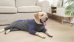 Флісовий комбінезон для собак Wan Talk Dog Clothes Cold Proof, Bluish Grey, S - мініатюра 4