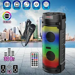 Портативна акустична система Winso ZQS6210W-6.5"x2 з RGB 30W з караоке мікрофоном та пультом - мініатюра 7