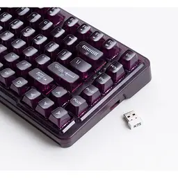 Клавіатура Thunderobot K75 TKL RGB Tri-mode Violet Mist Moon Switch Purple (6932066305550) - мініатюра 8