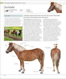 The Horse Encyclopedia (new edition) - мініатюра 9