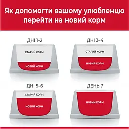 Сухий корм Hill's SP Adult для дорослих котів із тунцем 3 кг - мініатюра 5