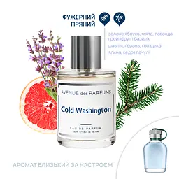 Парфумована вода Cold Washington Avenue des Parfums 50 мл - мініатюра 2