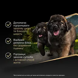 Сухий корм Purina Pro Plan для цуценят великих порід з чутливим травленням з лососем 12 кг - мініатюра 6