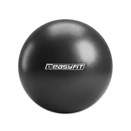 Мяч для пилатеса EasyFit EF-1220-bk, 20 см, черный, до 130 кг
